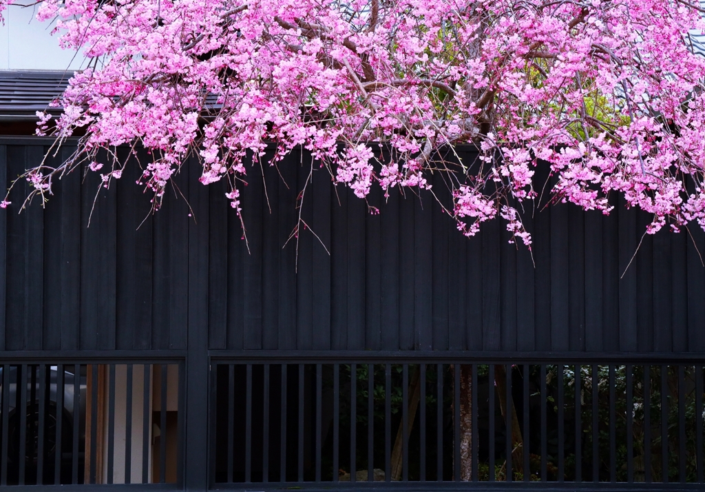 ある和食店の外観