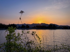 朝が次第に早くなってきましたね