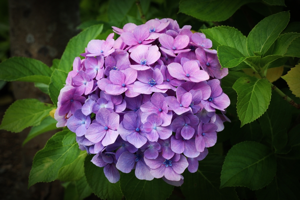 そろそろシーズンも後半です