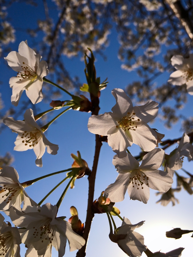 Feel the  liberation