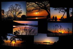 Collage of silhouettes