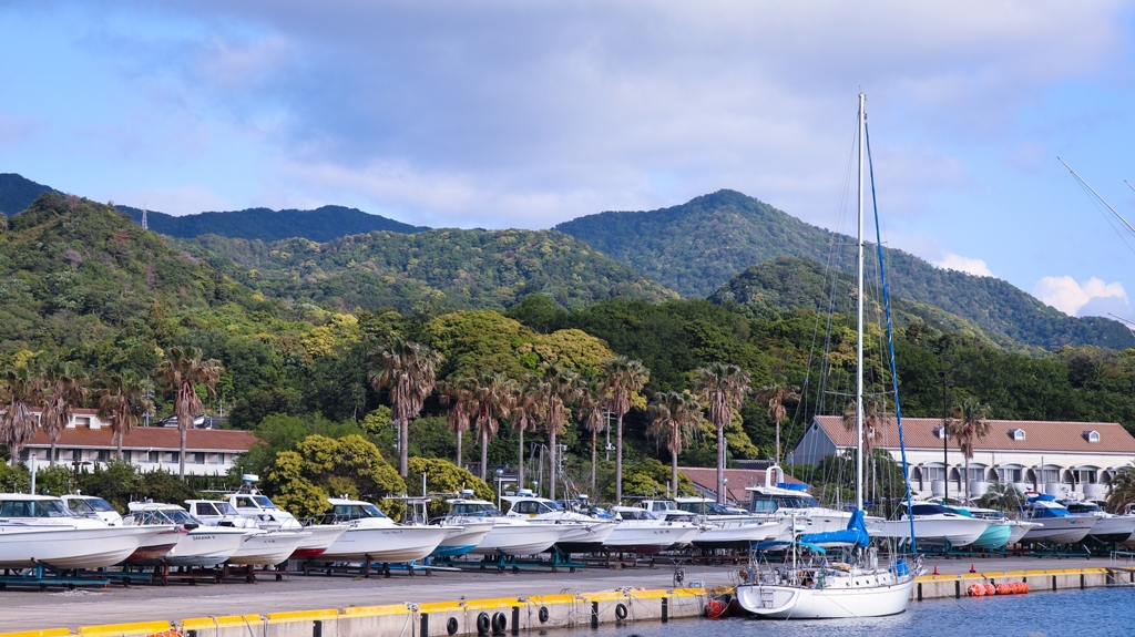 マリーナの駐艇場