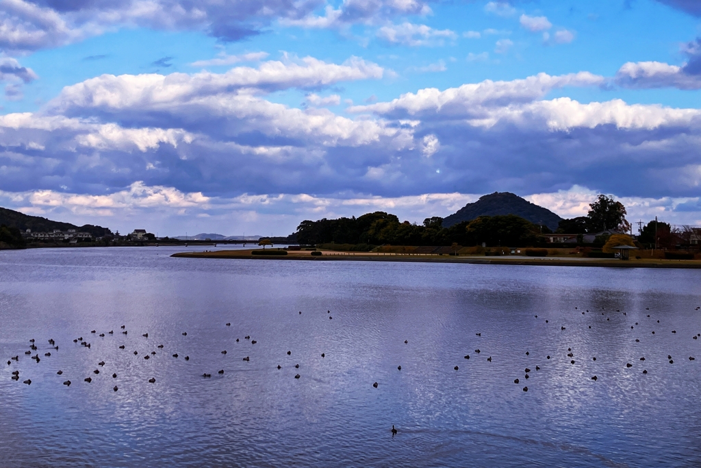 今朝の河口付近