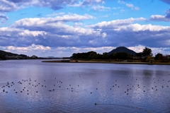 今朝の河口付近