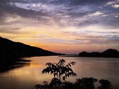 今日の河口付近