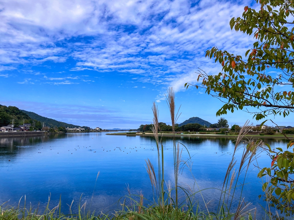 今日の河口付近