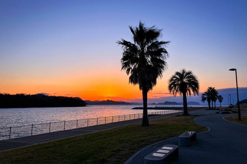 日没後の遊歩道