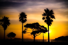 Dreams
