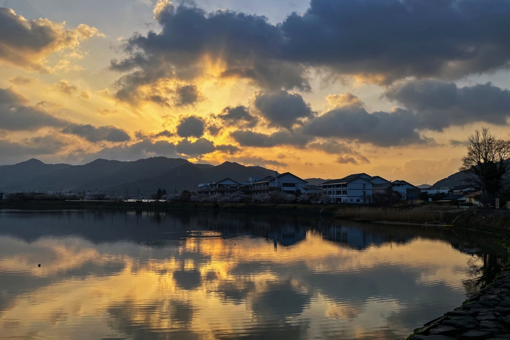 今朝の河口付近