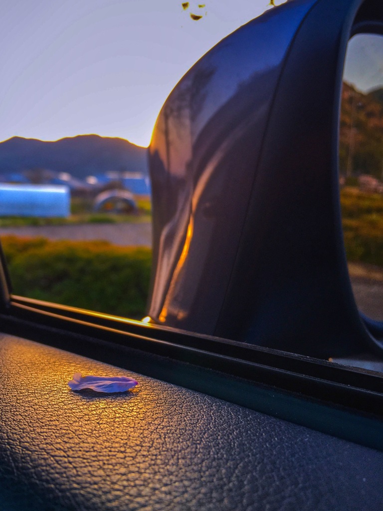 サイドガラスを降ろすと・・・