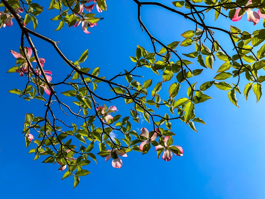 今季ラストアップ