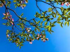 今季ラストアップ