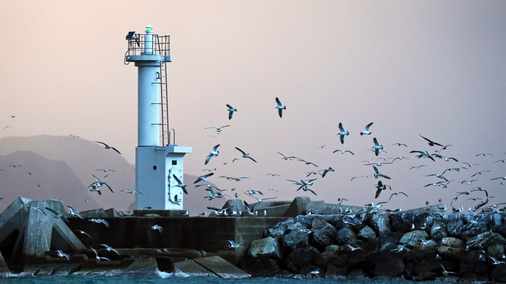 ヒッチコックだ！