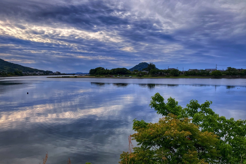 今日の河口付近