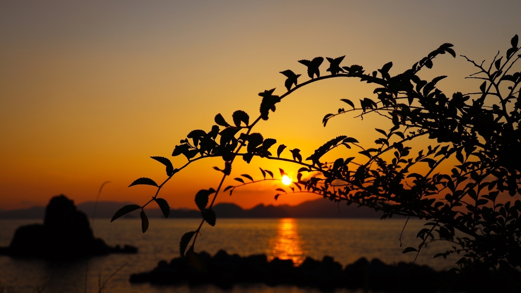 シルエット越しの夕陽