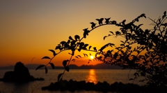 シルエット越しの夕陽