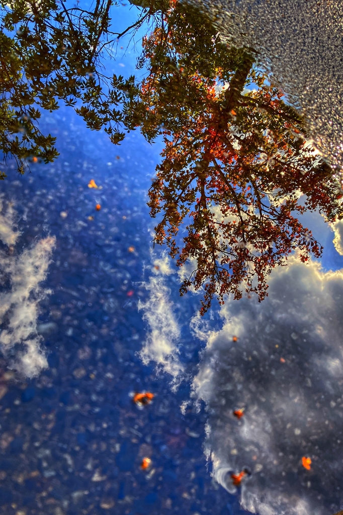 水溜まりの中の空