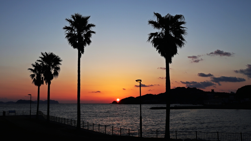 帰宅前の寄り道
