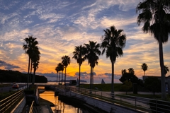 本日の夕景