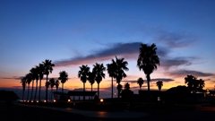 今日のシルエット