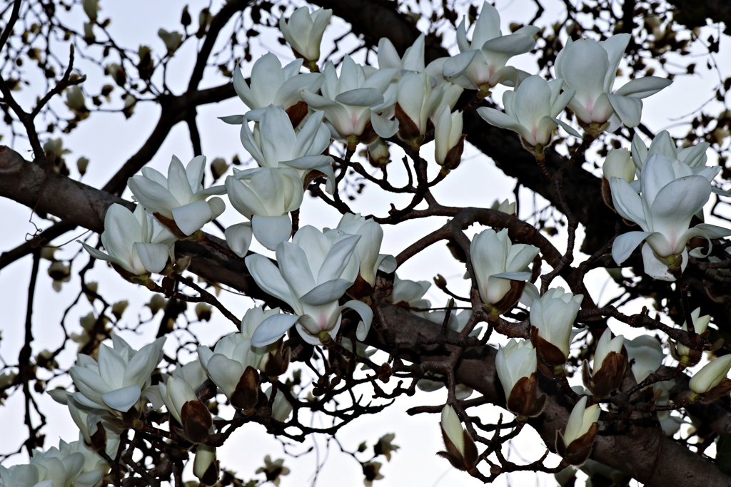 今日の3枚その1