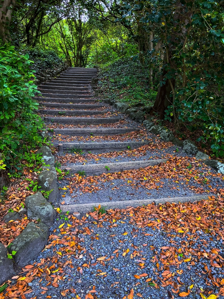 昇りたくない階段