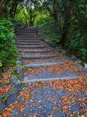 昇りたくない階段