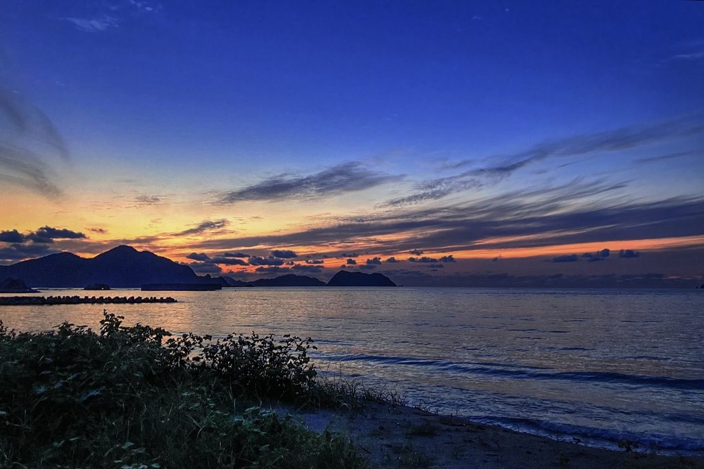 今日の2枚、その2