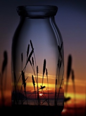 Sunset in a bottle
