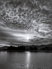 Monochrome