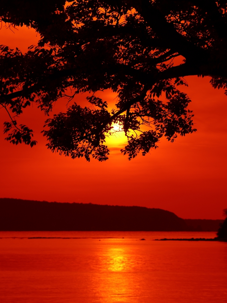 Orange filter view ver.2