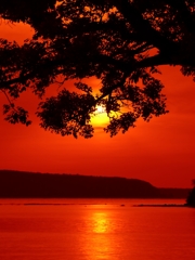 Orange filter view ver.2