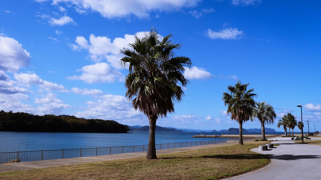 ひと気のない遊歩道