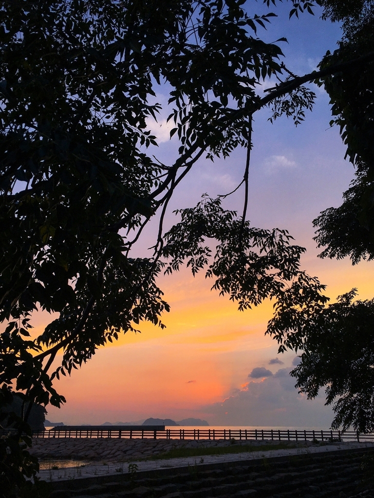 栴檀のシルエット