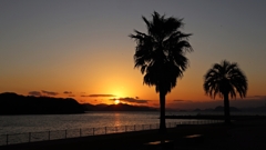 日没前の遊歩道