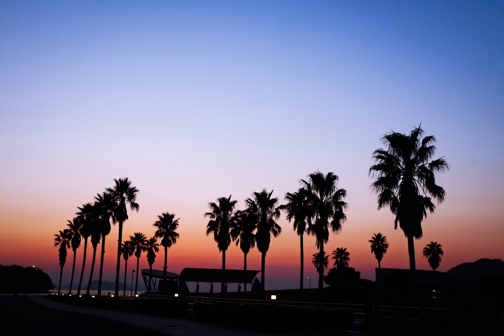 帰宅前の寄り道ver.5