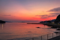 今日の寄り道.その6