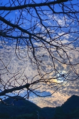 冬らしからぬ雲