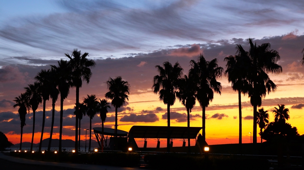 歩道灯が点灯する頃