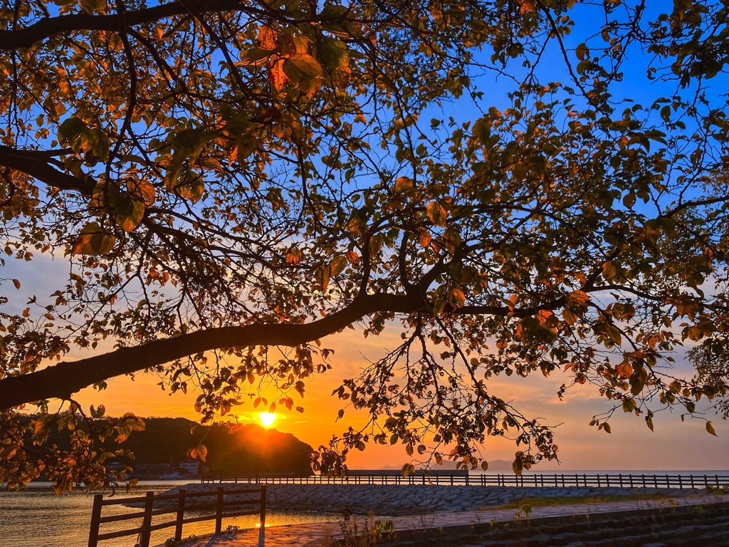 シルエット越しの夕景Ver.3