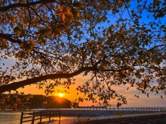 シルエット越しの夕景Ver.3