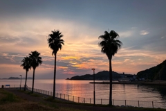 今日は夕陽が期待できず