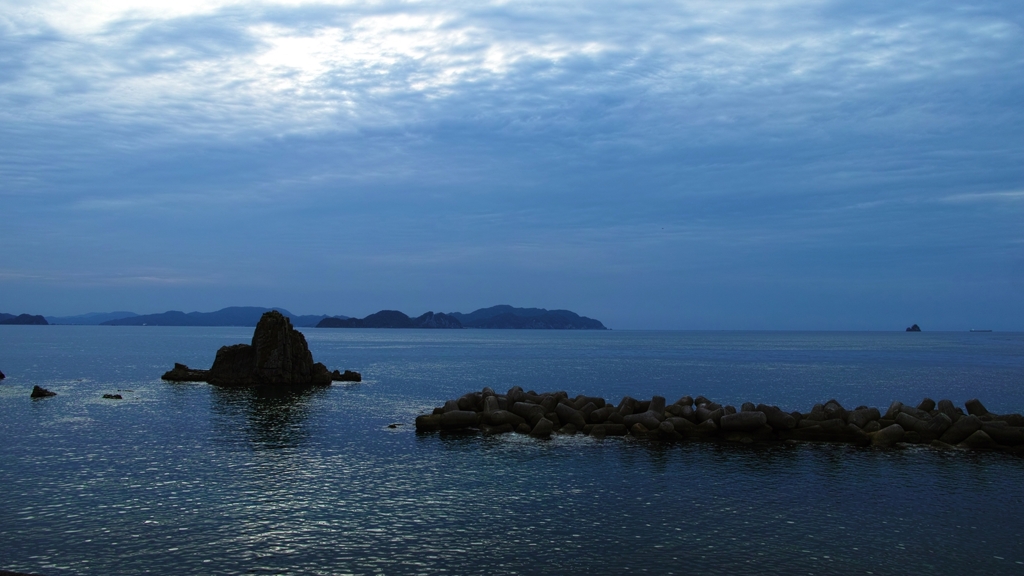 はなから期待できない日