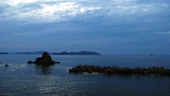 はなから期待できない日