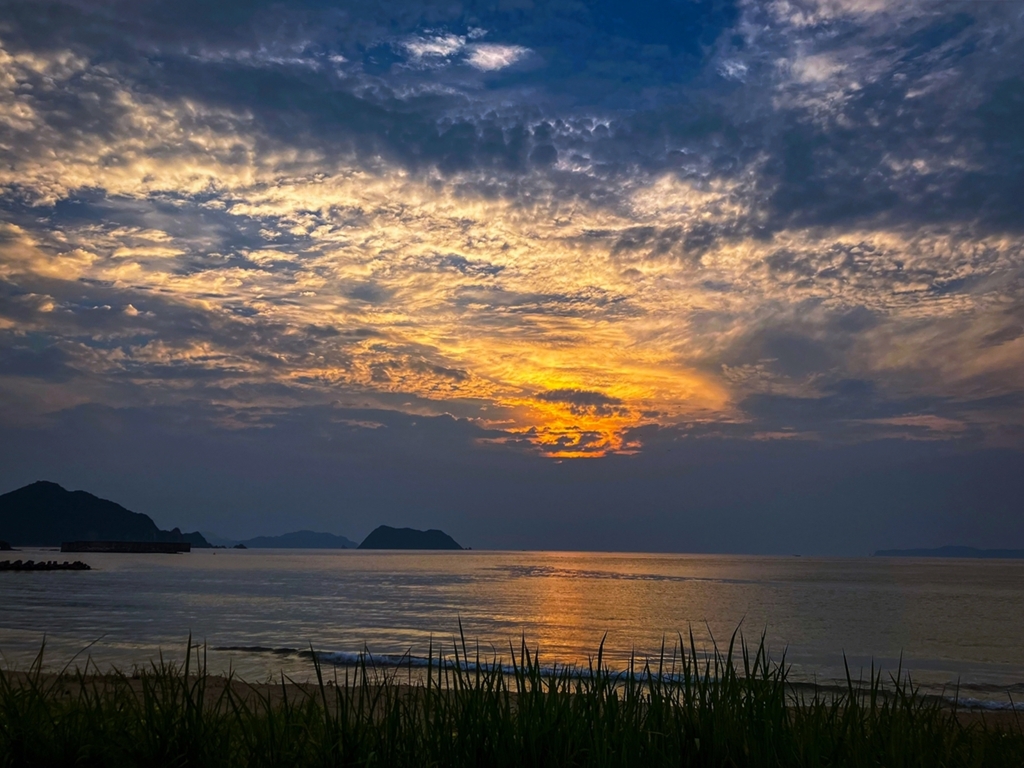 帰宅前のいつもの場所