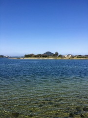 河口付近の風景