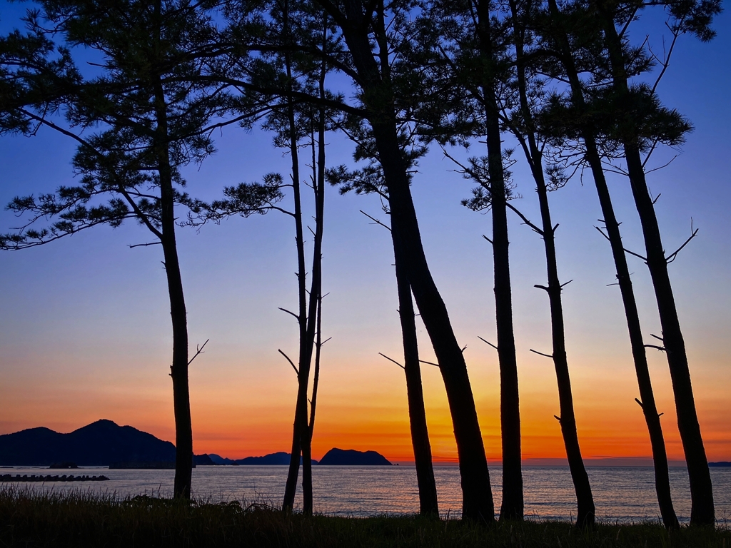 帰宅前の寄り道.4