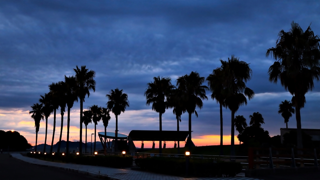 フェニックスと街灯