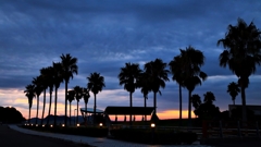 フェニックスと街灯