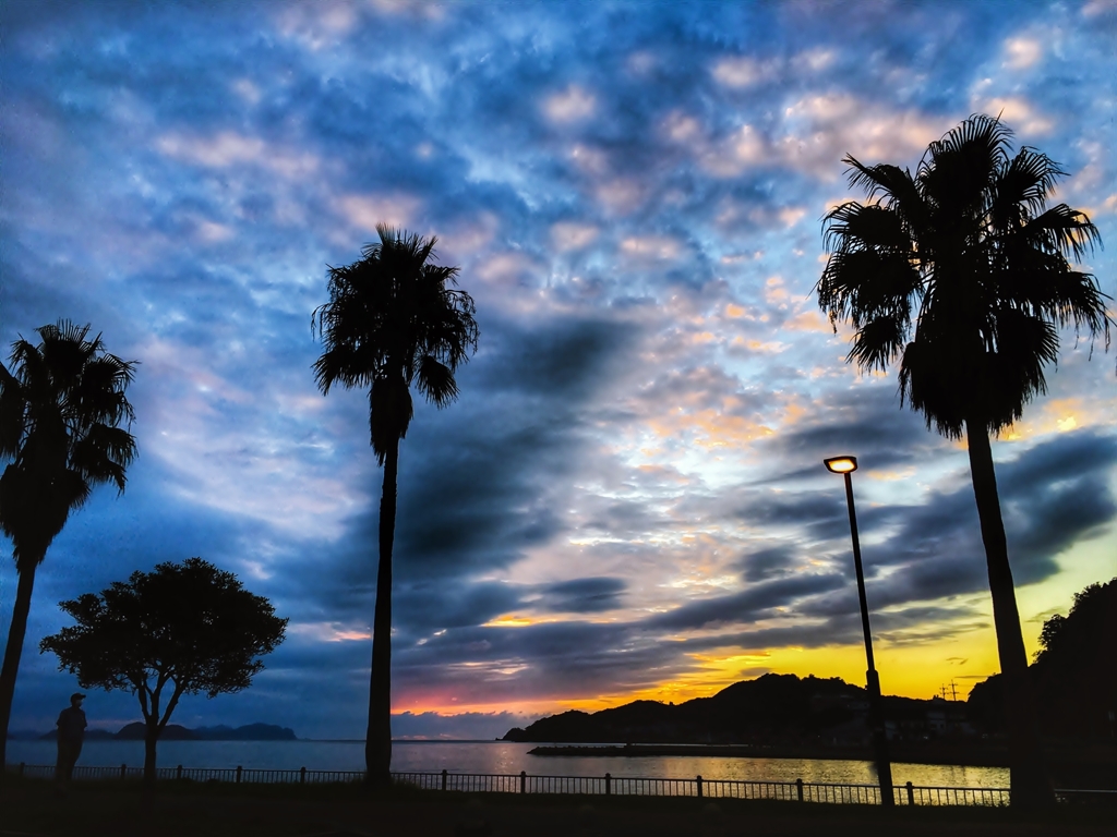 街灯のある夕景